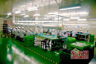 大抓工業(yè) 漳州為傳統(tǒng)產(chǎn)業(yè)植入 互聯(lián)網(wǎng) 基因