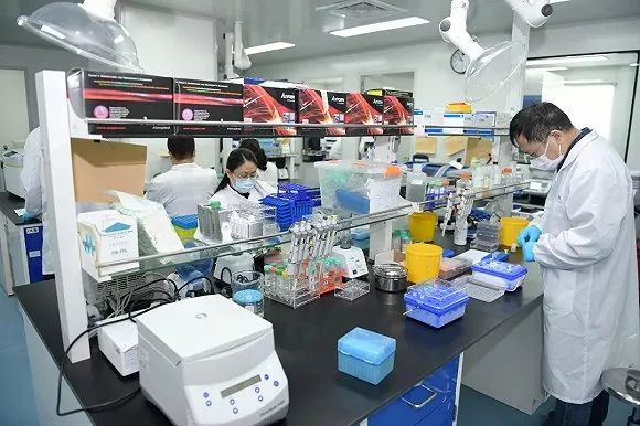 全力以赴、爭分奪秒加強科技攻關!李強今天調研生物醫藥企業,要求加快抗疫產品研發、應用、生產