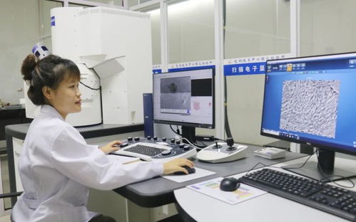 科技創(chuàng)新為發(fā)展賦能 包鋼股份成功研發(fā)高強度熱處理鋼軌 實現(xiàn)首次出口